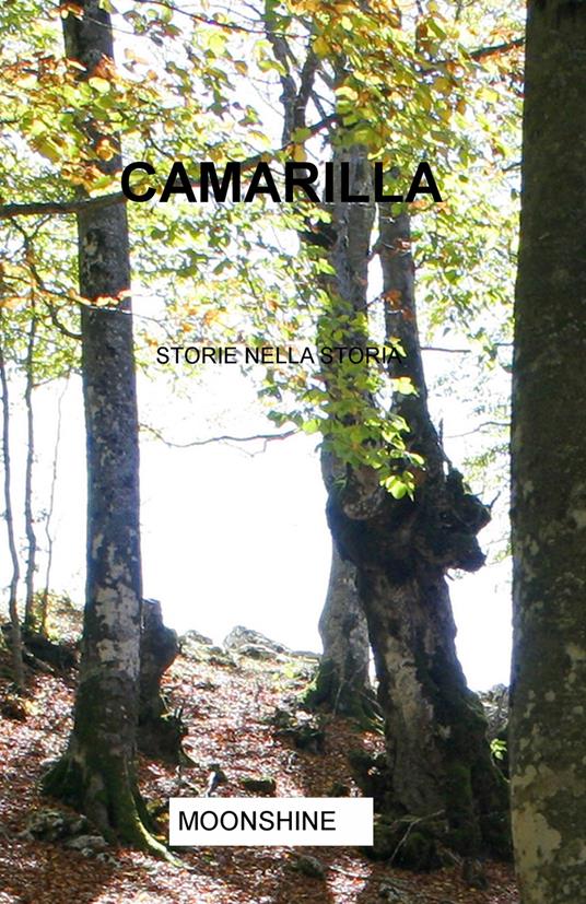 Camarilla. Storie nella storia - Raffaella Esposito - copertina