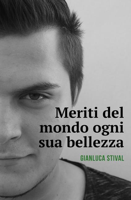 Meriti del mondo ogni sua bellezza - Gianluca Stival - copertina