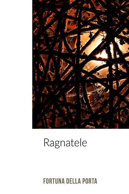 Ragnatele - Fortuna Della Porta - ebook