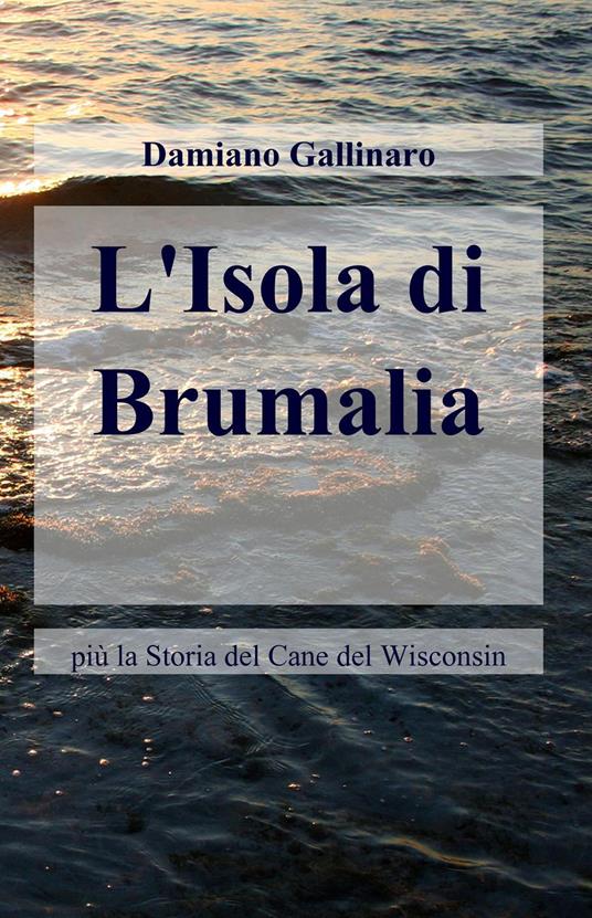 L' isola di Brumalia - Damiano Gallinaro - copertina