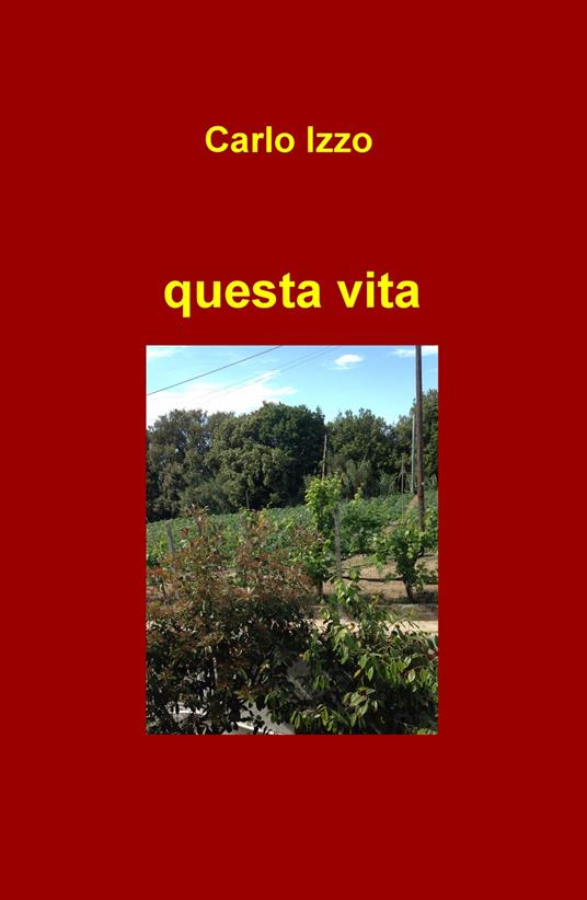 Questa vita - Carlo Izzo - copertina