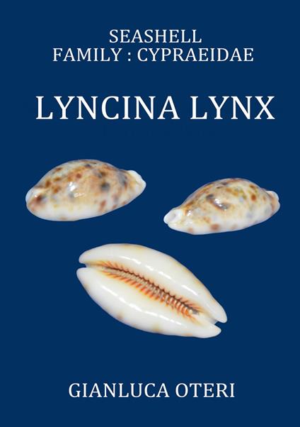 Seashell family: Cypraeidae, Lyncina lynx - Gianluca Oteri - copertina