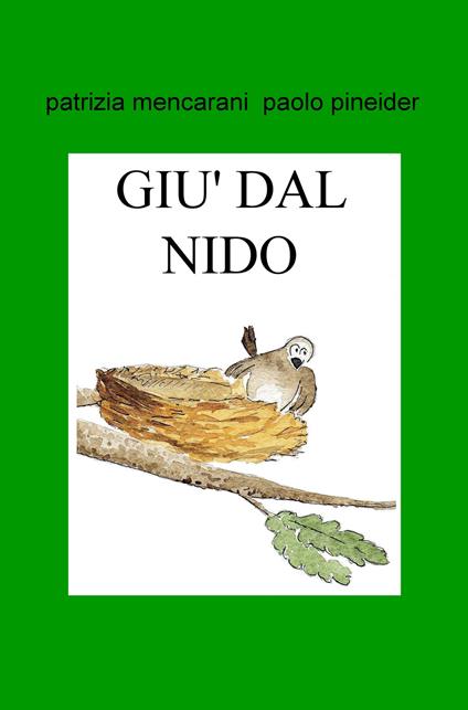 Nel giardino c'era un grosso gatto. Giù dal nido - Patrizia Mencarani,Paolo Pineider - copertina