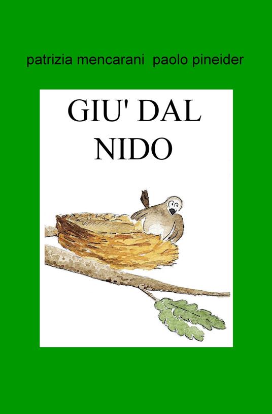 Nel giardino c'era un grosso gatto. Giù dal nido - Patrizia Mencarani,Paolo Pineider - copertina