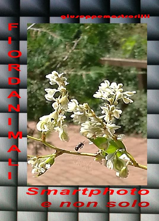 Fiordanimali. Smartphoto e non solo. Ediz. illustrata - Giuseppe Mastrorilli - copertina