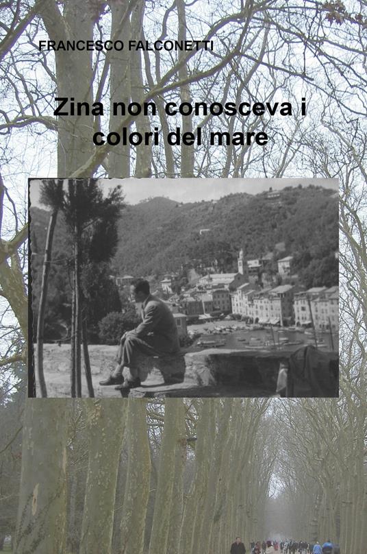 Zina non conosceva i colori del mare - Francesco Falconetti - copertina