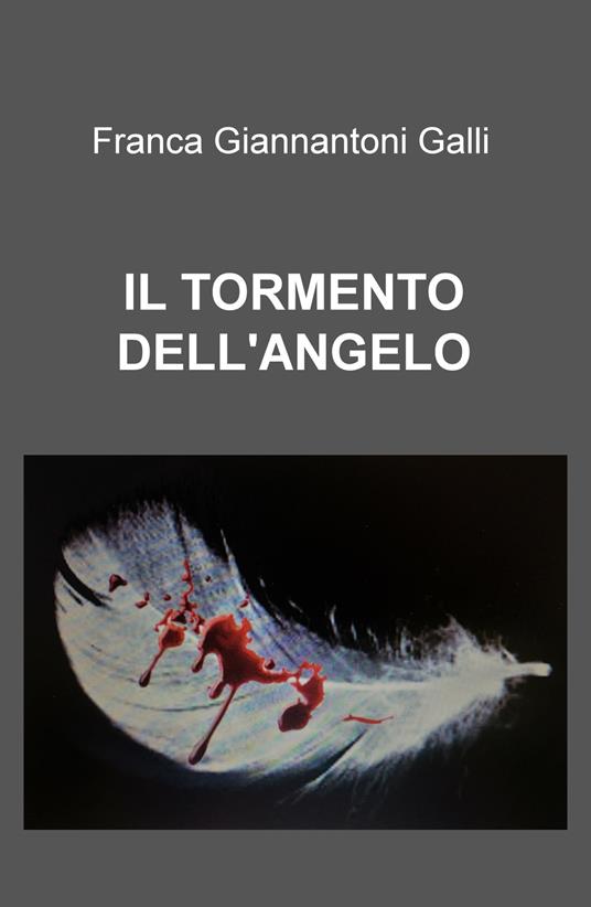 Il tormento dell&#39;angelo - Franca Giannantoni Galli - copertina