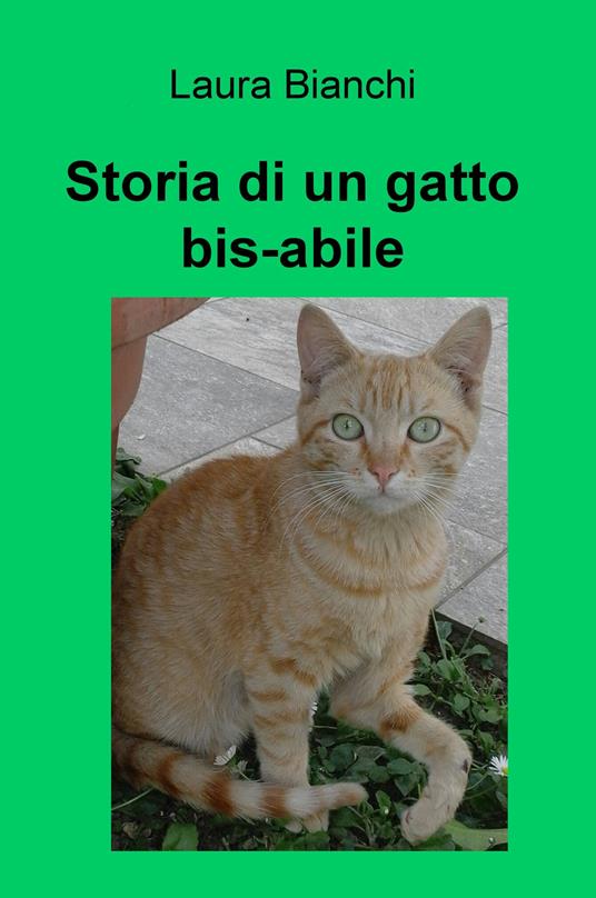 Storia di un gatto bis-abile - Laura Bianchi - copertina