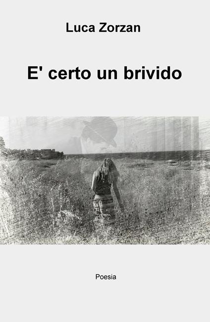 È certo un brivido - Luca Zorzan - copertina