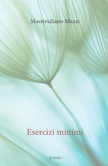 Esercizi minimi - Massimiliano Mazzi - copertina