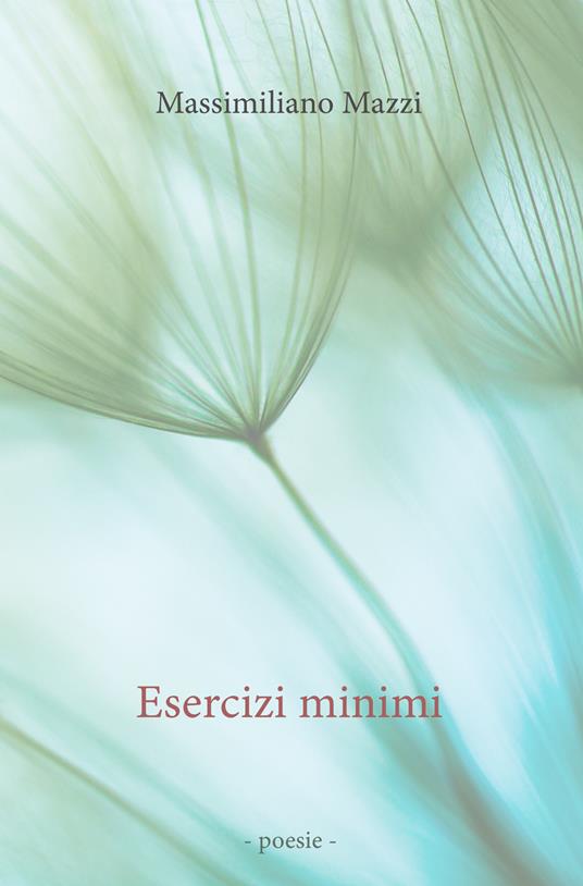 Esercizi minimi - Massimiliano Mazzi - ebook