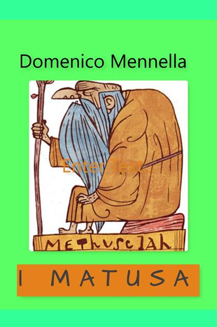 I matusa - Domenico Mennella - copertina