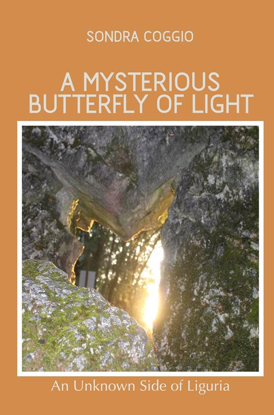 A mysterious butterfly of light - Sondra Coggio - copertina