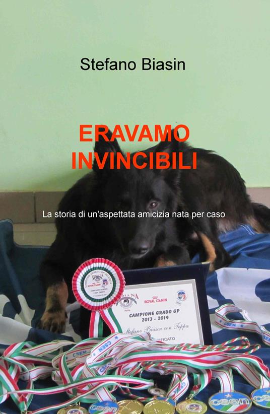 Eravamo invincibili. La storia di un'aspettata amicizia nata per caso - Stefano Biasin - copertina