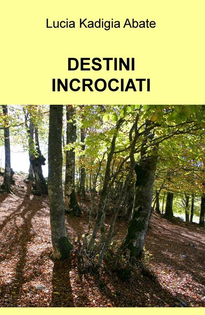 Destini incrociati - Lucia Kadigia Abate - copertina