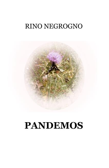 Pandemos - Rino Negrogno - copertina