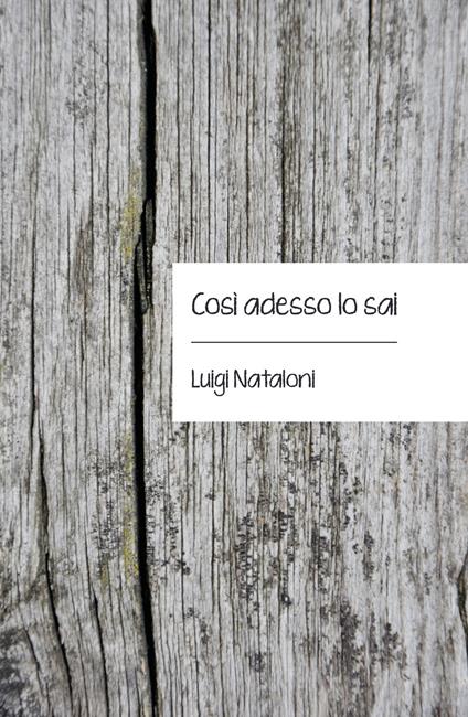 Così adesso lo sai - Luigi Nataloni - copertina