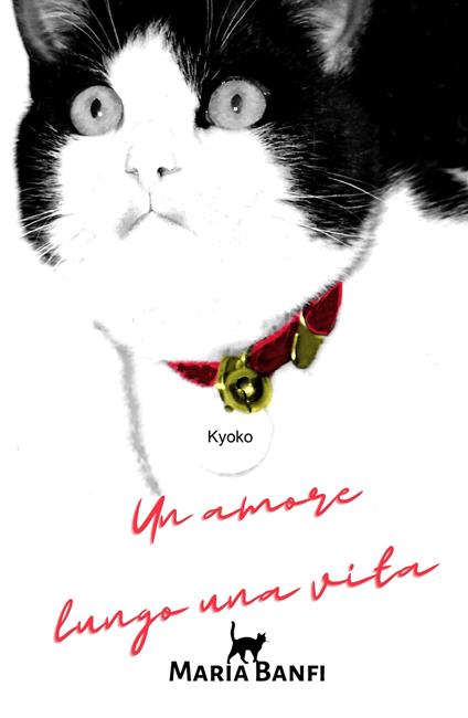 Un amore lungo una vita - Maria Banfi - copertina