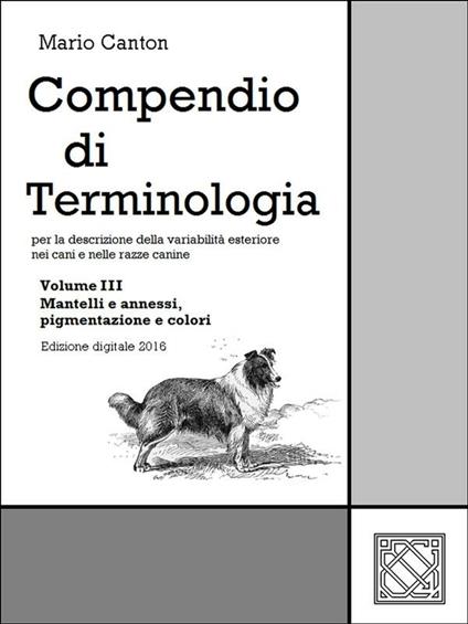 Compendio di terminologia. Vol. 3 - Mario Canton - ebook