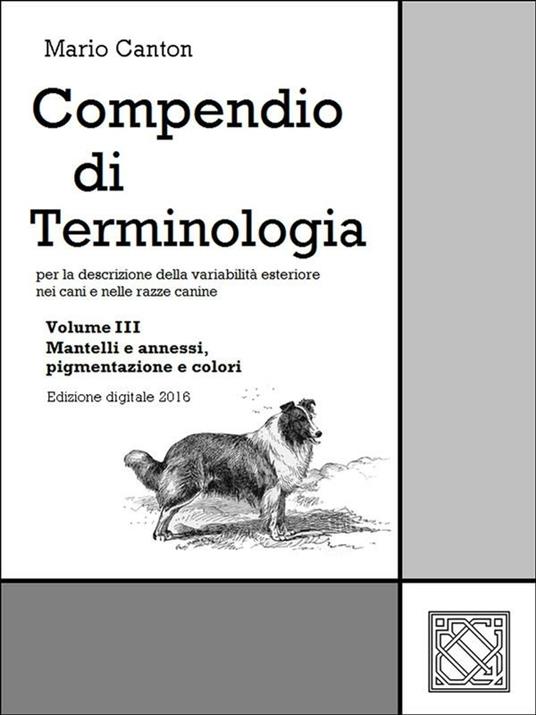 Compendio di terminologia. Vol. 3 - Mario Canton - ebook