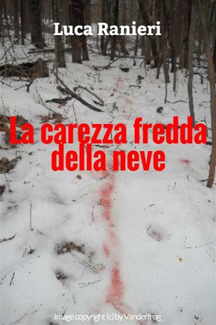 La carezza fredda della neve - Luca Ranieri - ebook