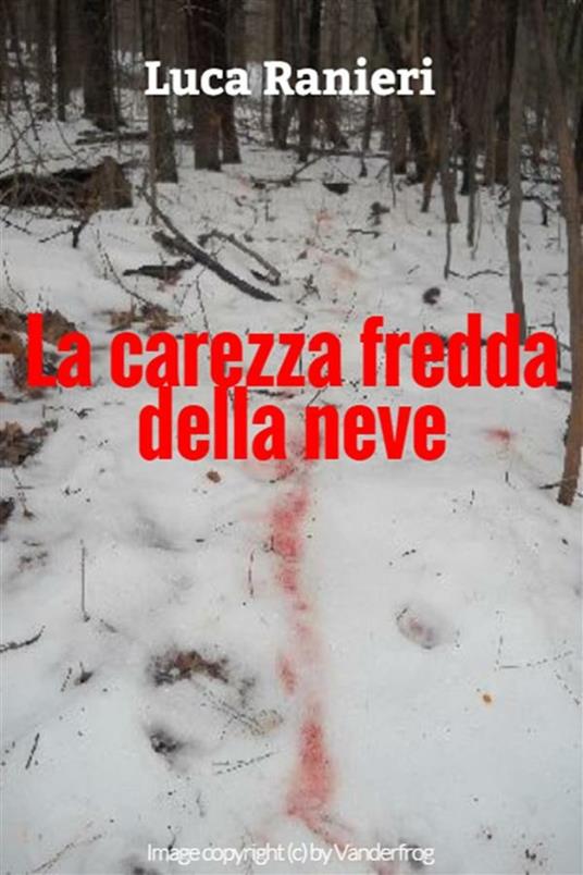 La carezza fredda della neve - Luca Ranieri - ebook
