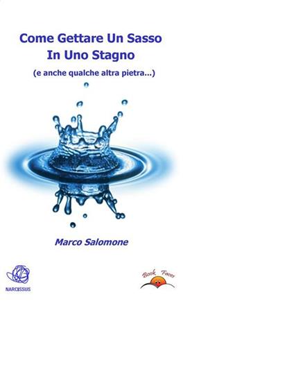 Come gettare un sasso in uno stagno (e anche qualche altro sasso...) - Marco Salomone - ebook