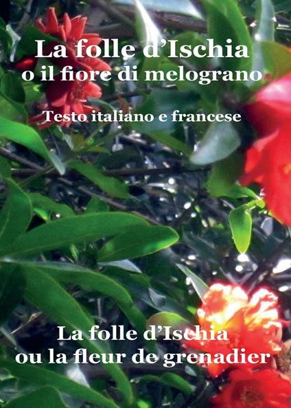 La folle d'Ischia o il fiore di melograno. Testo italiano e francese - Raffaele Castagna - copertina