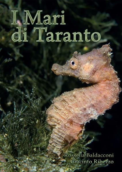I mari di Taranto - Rossella Baldacconi,Giacinto Ribezzo - ebook