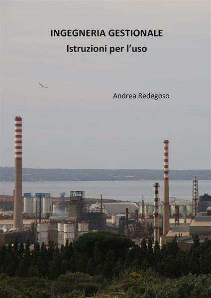 Ingegneria gestionale. Istruzioni per l'uso - Andrea Giovanni Redegoso - ebook