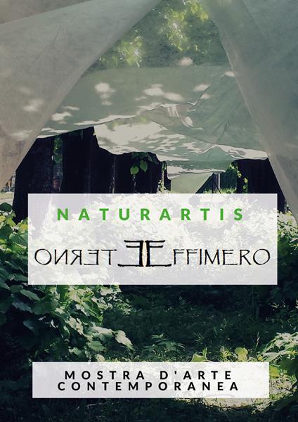 Naturartis. Eterno effimero. Cultura e ambiente. Catalogo della mostra (Solbiate Olona, 14-21 maggio 2017). Ediz. illustrata - Simona Mamone - copertina