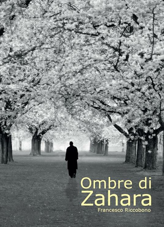 Ombre di Zahara - Francesco Riccobono - copertina