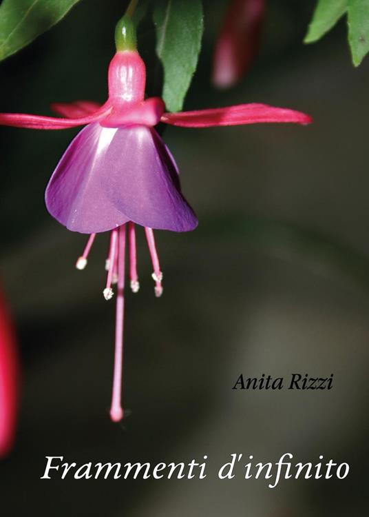 Frammenti d'infinito - Anita Rizzi - copertina