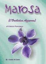Marosa