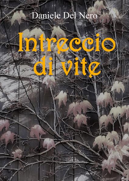 Intreccio di vite - Daniele Del Nero - copertina