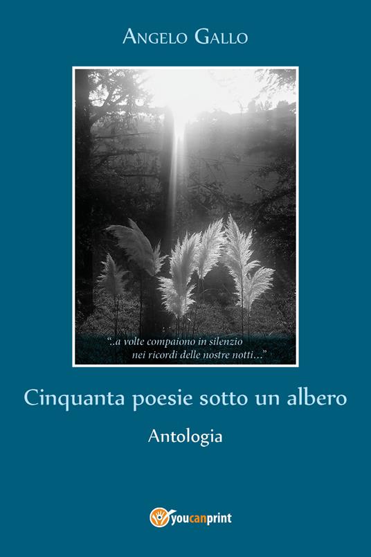 Cinquanta poesie sotto un albero - Angelo Gallo - copertina