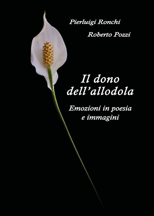 Il dono dell'allodola - Pierluigi Ronchi - copertina