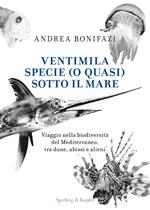 Ventimila specie (o quasi) sotto il mare. Viaggio nella biodiversità del Mediterraneo, tra dune, abissi e alieni