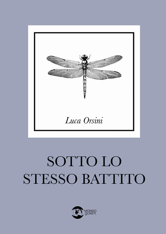 Sotto lo stesso battito - Luca Orsini - copertina