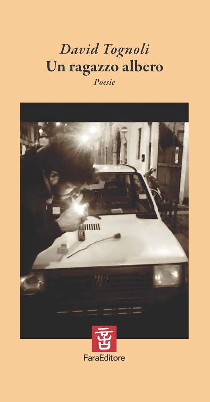 Un ragazzo albero - David Tognoli - copertina