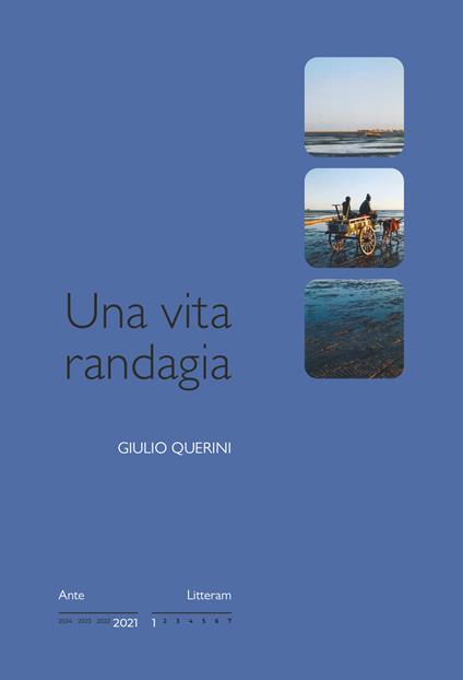 Una vita randagia - Giulio Querini - copertina