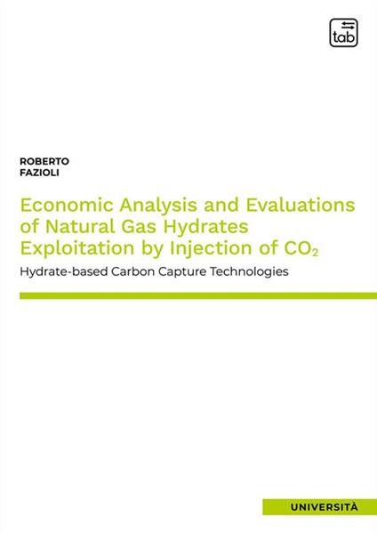 Economic analysis and evaluations of natural gas hydrates exploitation by injection of CO2. Hydrate–based carbon capture technologies - Roberto Fazioli - copertina