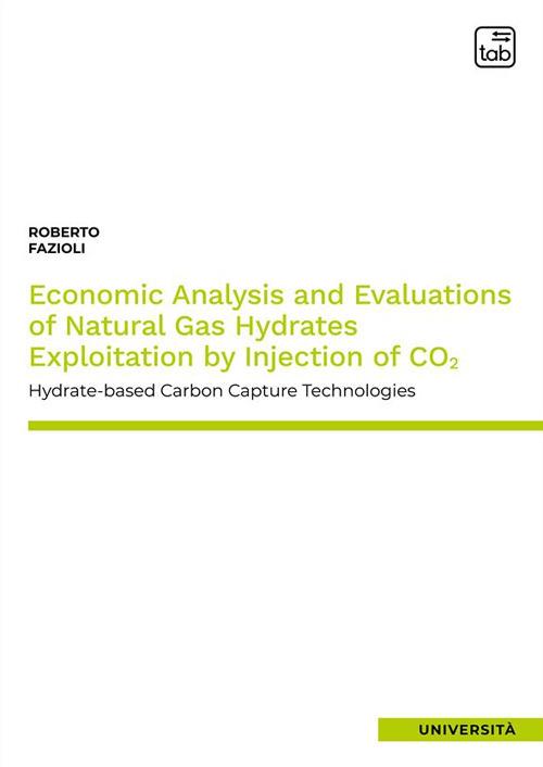 Economic analysis and evaluations of natural gas hydrates exploitation by injection of CO2. Hydrate–based carbon capture technologies - Roberto Fazioli - copertina