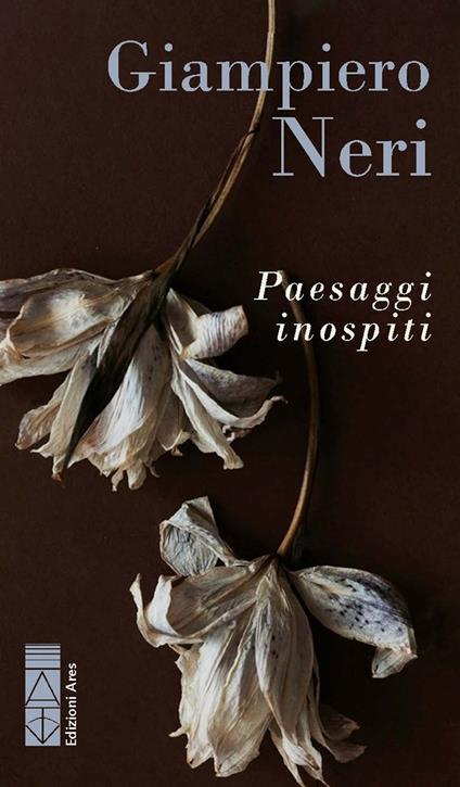 Paesaggi inospiti - Giampiero Neri - copertina