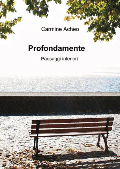 Profondamente paesaggi interiori - Carmine Acheo - copertina