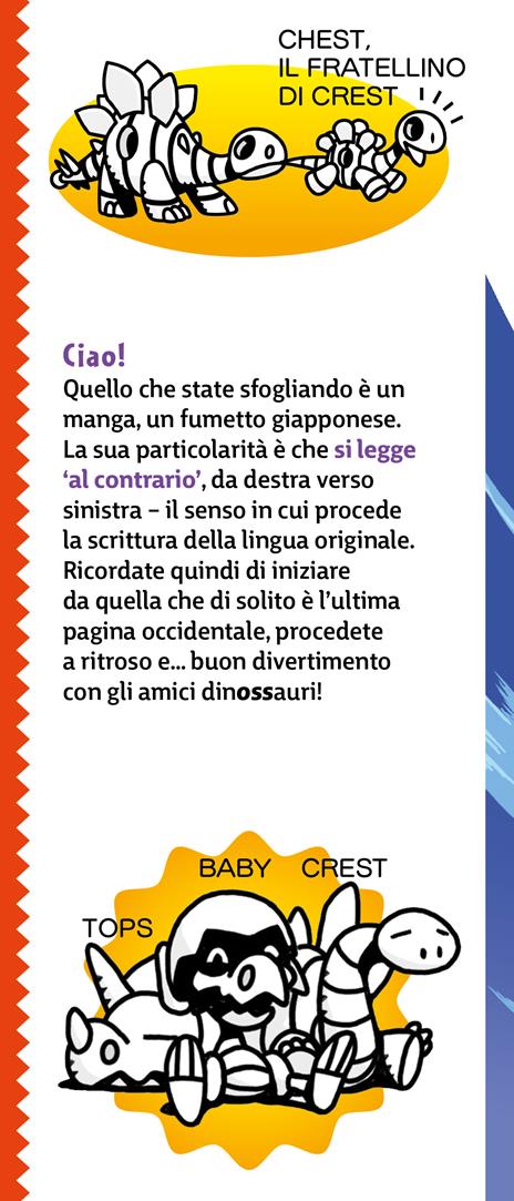 Alla ricerca della tartaruga gigante. I dinossauri - Group Ammonites - 6