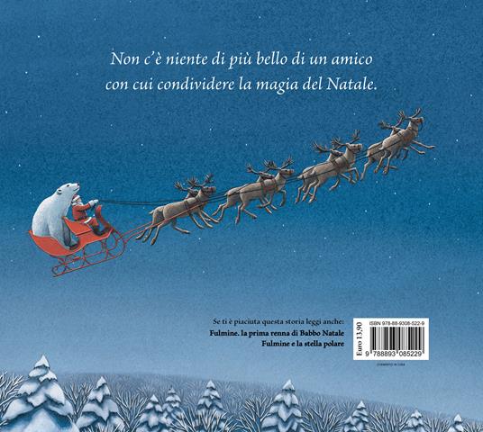 Fulmine e l'orso bianco. Ediz. a colori - Matt Tavares - 4