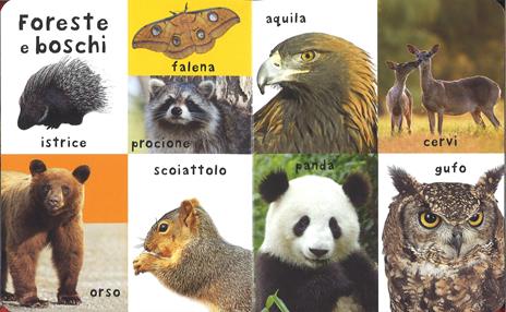 I miei primi 100 animali. Ediz. a colori - 3