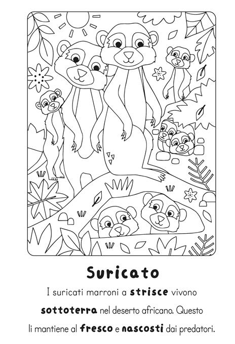 Traccia e colora animali. Ediz. illustrata - 3