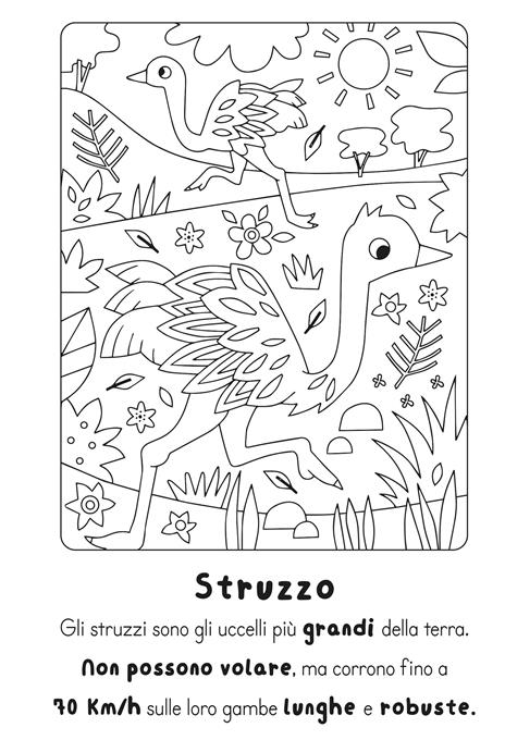 Traccia e colora animali. Ediz. illustrata - 4